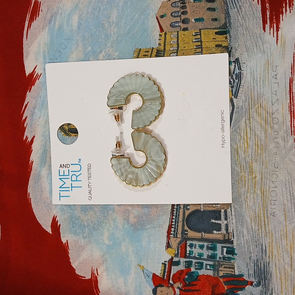 Earrings brand new